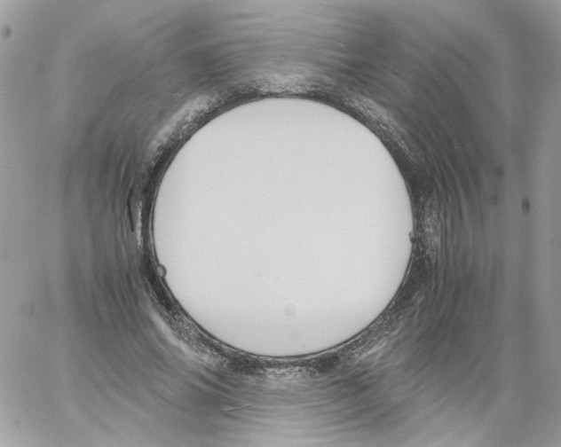 X0000061720686200512302120