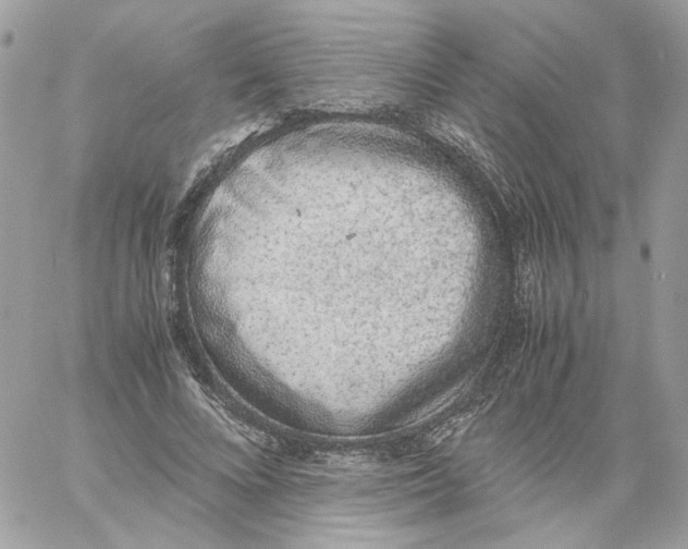 X0000061720688200512302120