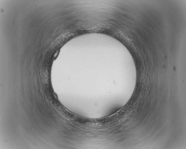 X0000061720689200512302120