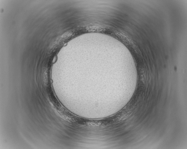 X0000061720690200512302120