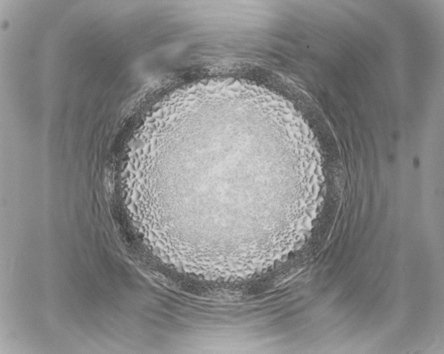 X0000061720691200512302120