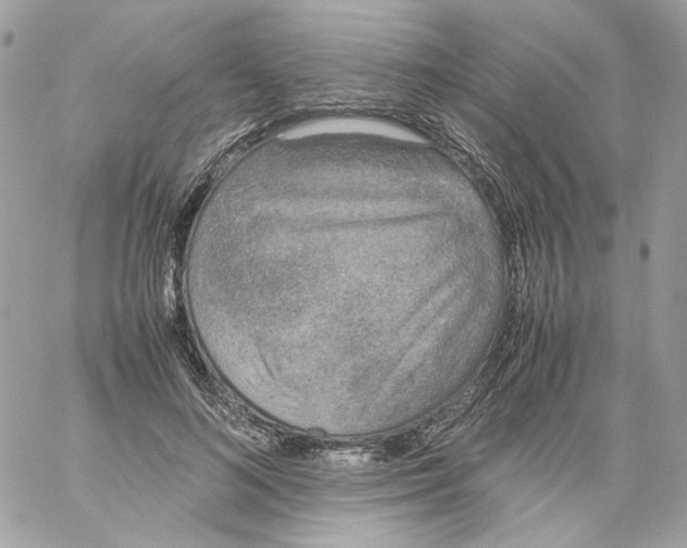 X0000061720692200512302120