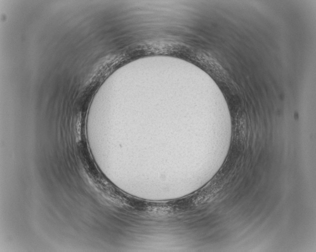 X0000061720694200512302120