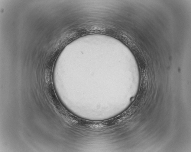 X0000061720695200512302120