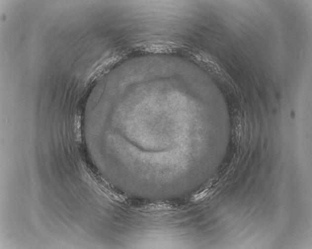 X0000061720696200512302120