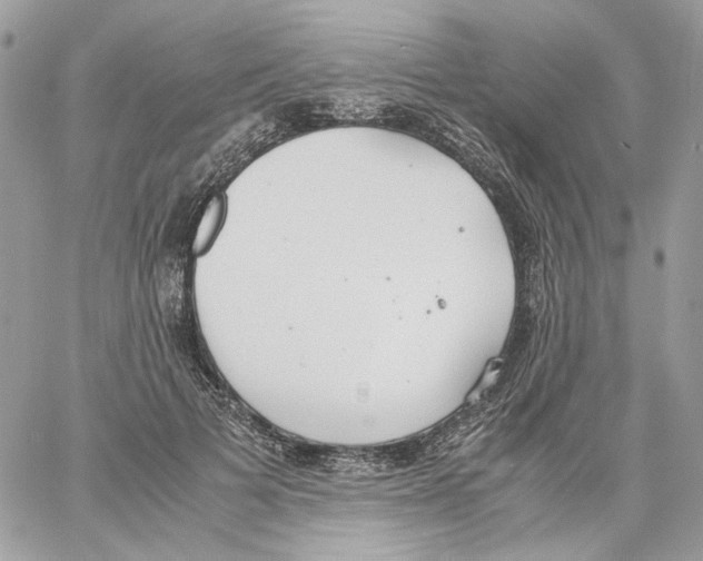 X0000061720697200512302120