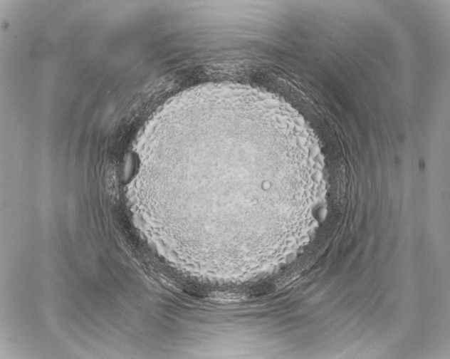 X0000061720699200512302120