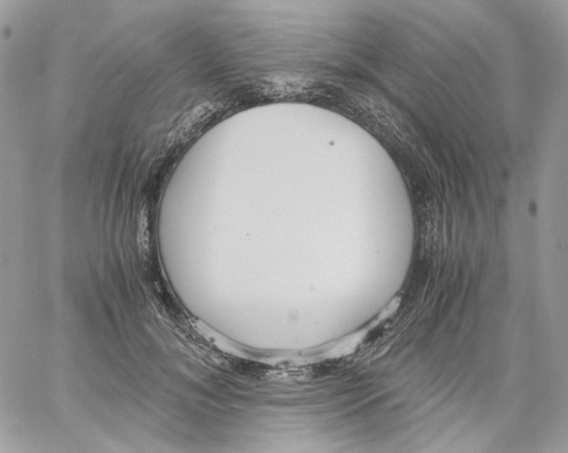 X0000061720700200512302120