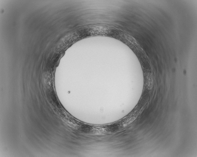 X0000061720701200512302120