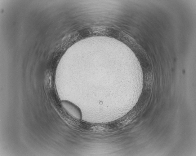 X0000061720703200512302120