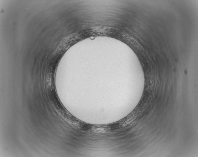 X0000061720706200512302120