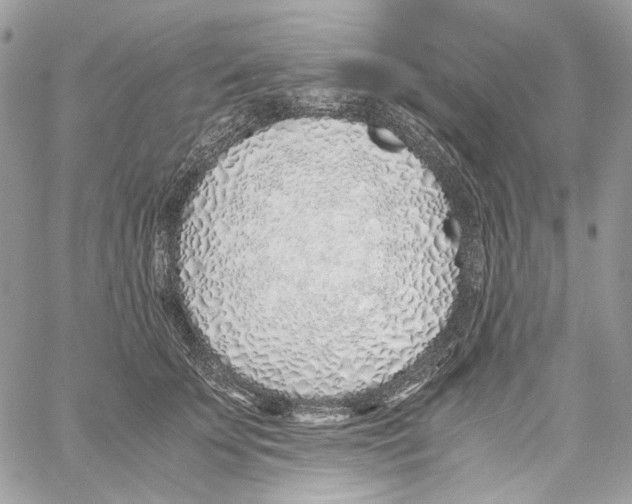 X0000061720707200512302120