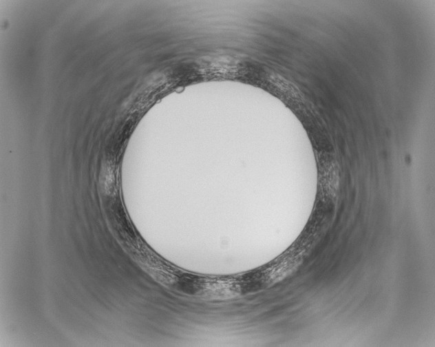 X0000061720709200512302120