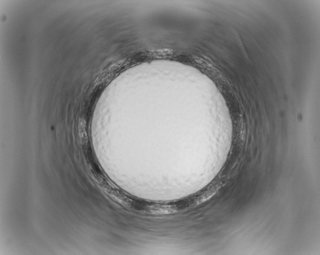 X0000061720711200512302120