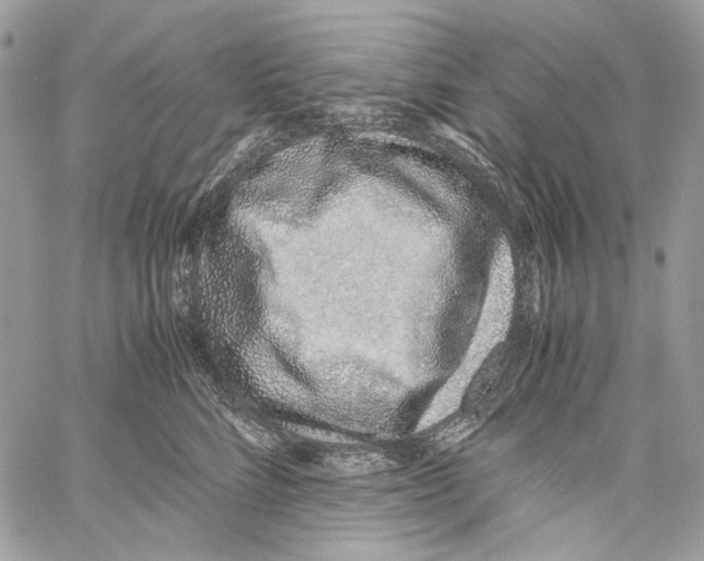 X0000061720712200512302120