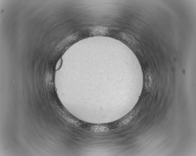 X0000061720714200512302120