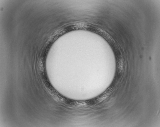 X0000061720715200512302120