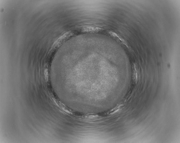 X0000061720716200512302120