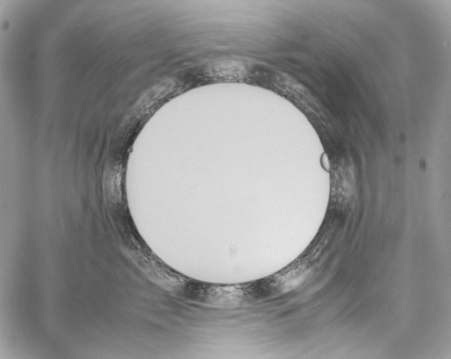 X0000061720717200512302120