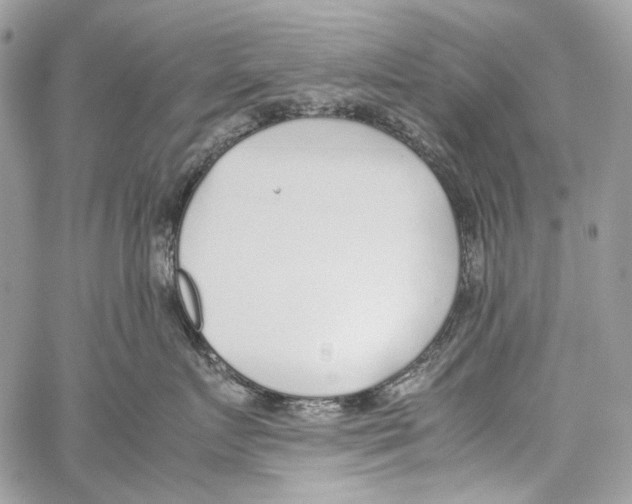 X0000061720719200512302120