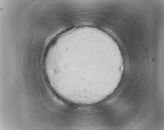 X0000061720721200512302119