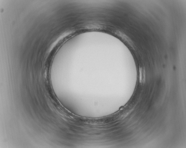 X0000061720723200512302119