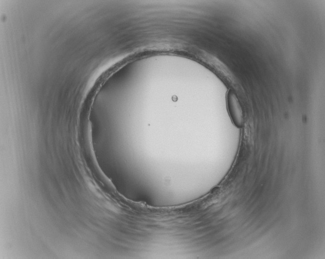 X0000061720724200512302119