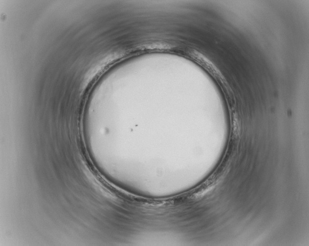 X0000061720725200512302119