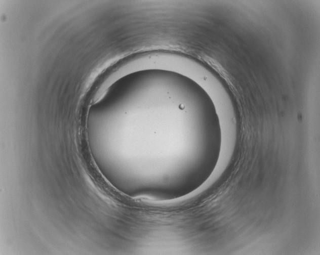 X0000061720728200512302119