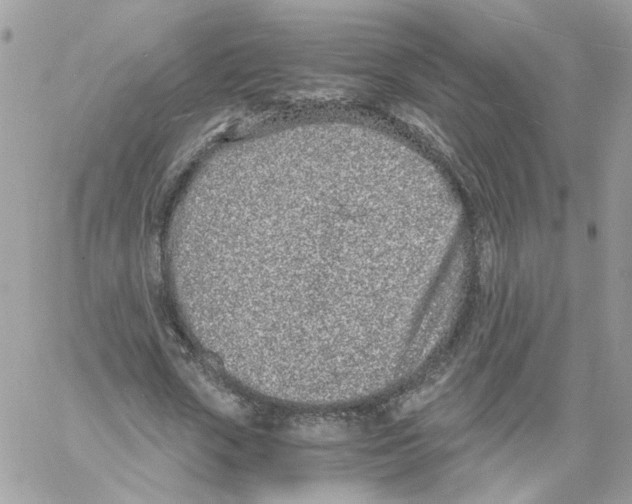 X0000061720729200512302119