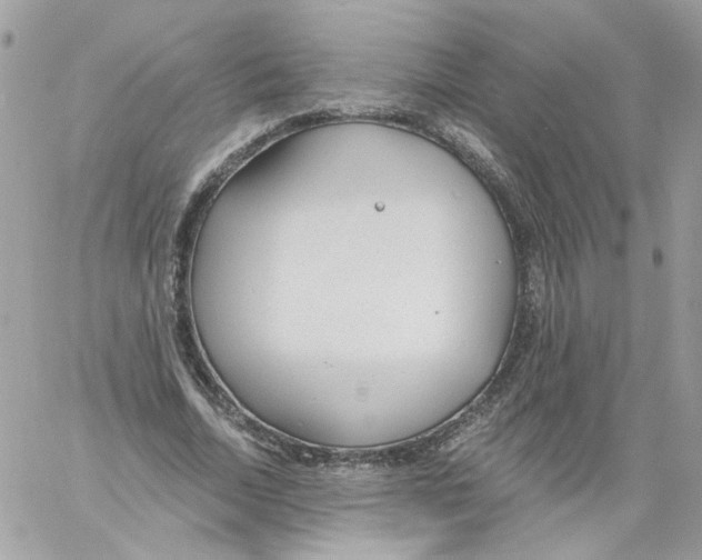 X0000061720730200512302119