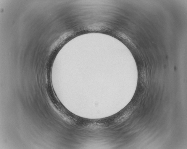 X0000061720734200512302119