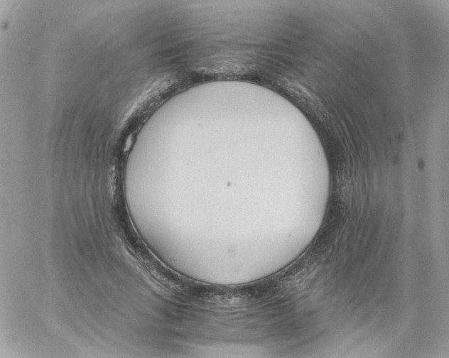 X0000061720735200512302119