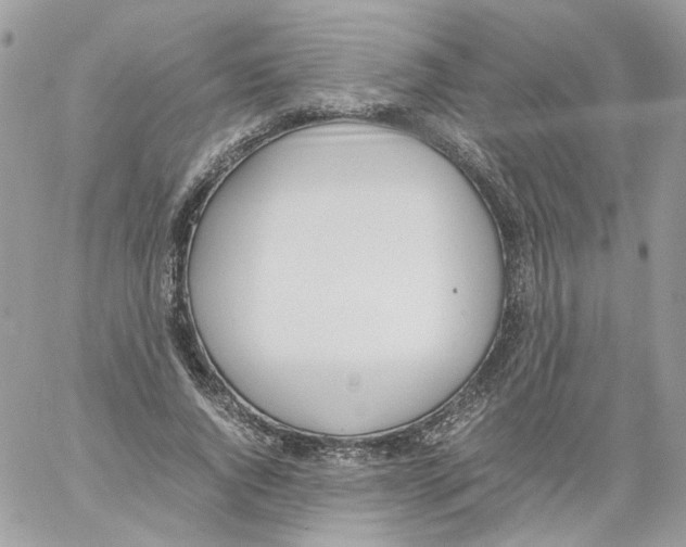 X0000061720736200512302119