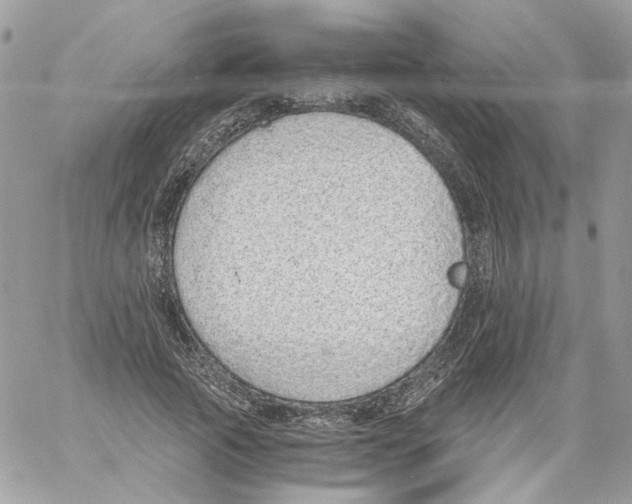 X0000061720737200512302119