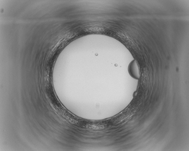 X0000061720739200512302119