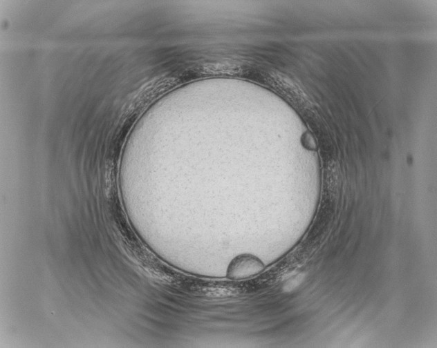 X0000061720741200512302119