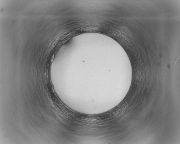 X0000061720743200512302119