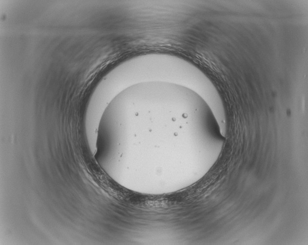 X0000061720744200512302119