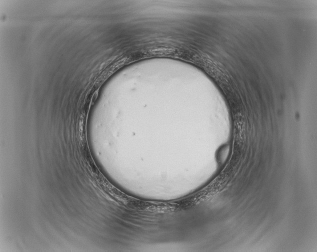 X0000061720745200512302119