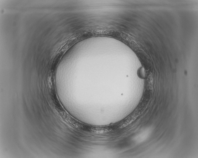 X0000061720746200512302119