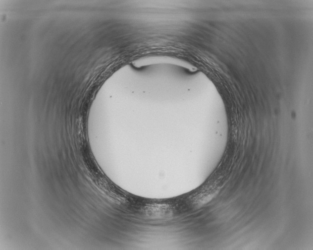 X0000061720748200512302119