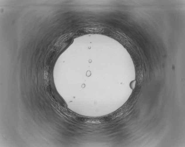 X0000061720749200512302119