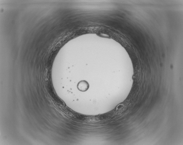 X0000061720750200512302119