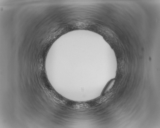 X0000061720752200512302119