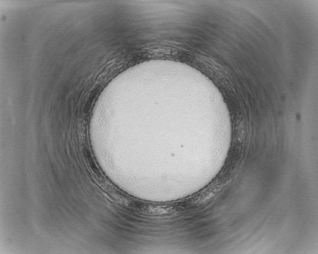 X0000061720753200512302119