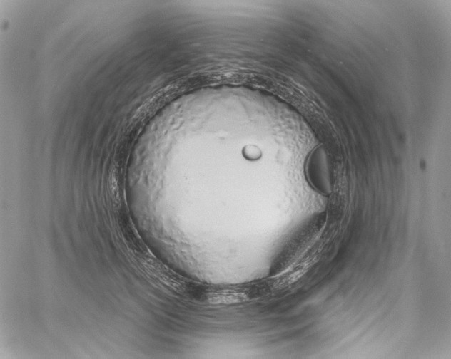 X0000061720754200512302119