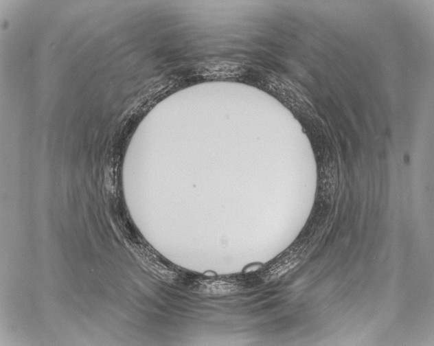 X0000061720755200512302119