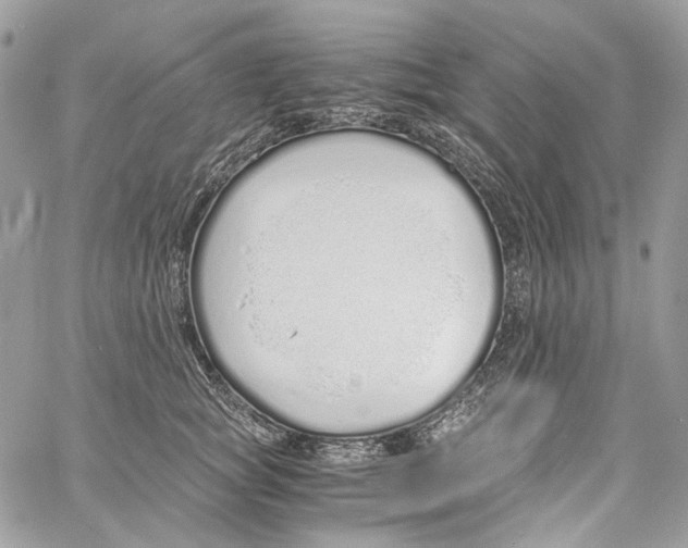 X0000061720757200512302119