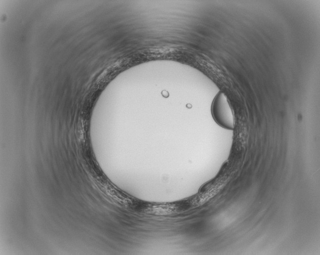 X0000061720758200512302119